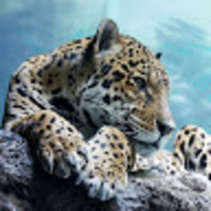 Meet your Posher, Barbara